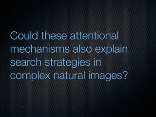 Mechanisms of bottom-up and top-down processing in visual perception
