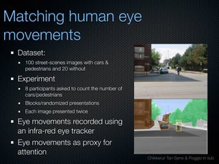 Mechanisms of bottom-up and top-down processing in visual perception