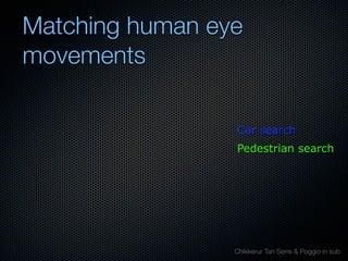 Mechanisms of bottom-up and top-down processing in visual perception