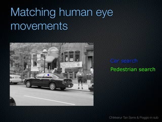 Mechanisms of bottom-up and top-down processing in visual perception