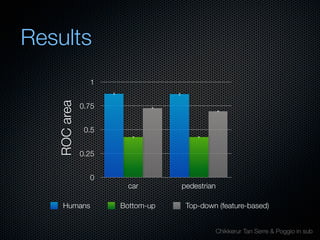 Mechanisms of bottom-up and top-down processing in visual perception
