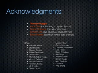 Mechanisms of bottom-up and top-down processing in visual perception