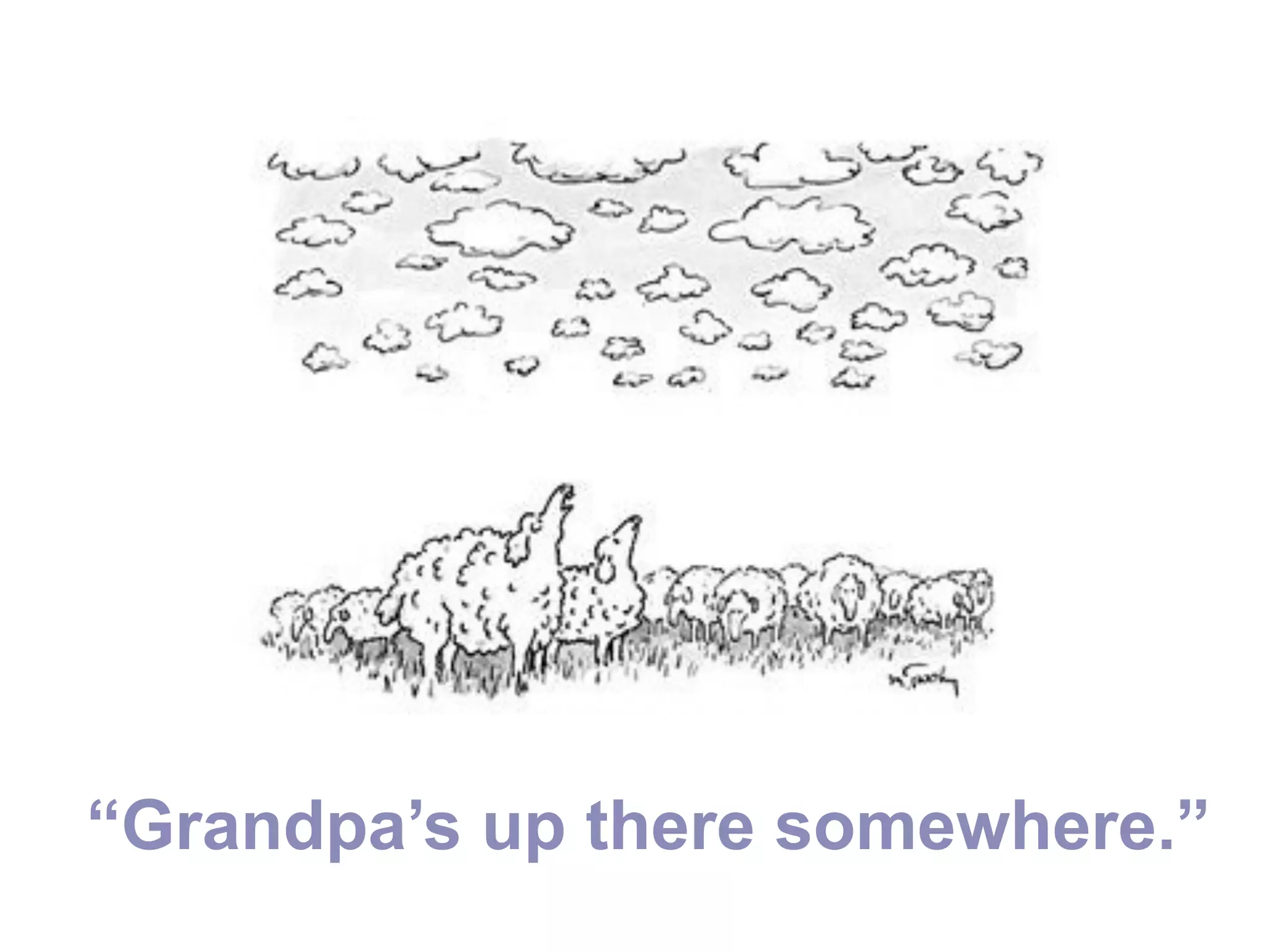 “Grandpa’s up there somewhere.”
 