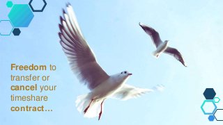 Freedom to
transfer or
cancel your
timeshare
contract…
 