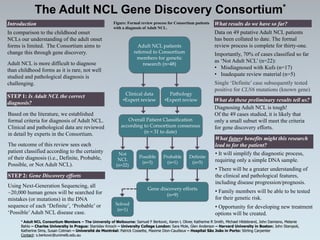 The Adult NCL Gene Discovery Consortium* 
Introduction 
In comparison to the childhood onset 
NCLs our understanding of the adult onset 
forms is limited. The Consortium aims to 
change this through gene discovery. 
Adult NCL is more difficult to diagnose 
than childhood forms as it is rare, not well 
studied and pathological diagnosis is 
challenging. 
STEP 1: Is Adult NCL the correct 
diagnosis? 
Based on the literature, we established 
formal criteria for diagnosis of Adult NCL. 
Clinical and pathological data are reviewed 
in detail by experts in the Consortium. 
The outcome of this review sees each 
patient classified according to the certainty 
of their diagnosis (i.e., Definite, Probable, 
Possible, or Not Adult NCL). 
STEP 2: Gene Discovery efforts 
What results do we have so far? 
Data on 49 putative Adult NCL patients 
has been collated to date. The formal 
Figure: Formal review process for Consortium patients 
with a diagnosis of Adult NCL. 
Adult NCL patients review process is complete for thirty-one. 
referred to Consortium 
members for genetic 
Importantly, 70% of cases classified so far 
as ‘Not Adult NCL’ (n=22): 
• Misdiagnosed with Kufs (n=17) 
• Inadequate review material (n=5) 
Single ‘Definite’ case subsequently tested 
positive for CLN6 mutations (known gene) 
What do these preliminary results tell us? 
Diagnosing Adult NCL is tough! 
Of the 49 cases studied, it is likely that 
only a small subset will meet the criteria 
for gene discovery efforts. 
What future benefits might this research 
lead to for the patient? 
• It will simplify the diagnostic process, 
requiring only a simple DNA sample. 
• There will be a greater understanding of 
the clinical and pathological features, 
including disease progression/prognosis. 
• Family members will be able to be tested 
for their genetic risk. 
• Opportunity for developing new treatment 
options will be created. 
research (n=48) 
Clinical data 
•Expert review 
Pathology 
•Expert review 
Overall Patient Classification 
according to Consortium consensus 
Not 
NCL 
(n=22) 
(n = 31 to date) 
Possible 
(n=3) 
Probable 
(n=1) 
Definite 
(n=5) 
Gene discovery efforts 
(n=9) 
Using Next-Generation Sequencing, all 
~20,000 human genes will be searched for 
mistakes (or mutations) in the DNA 
sequence of each ‘Definite’, ‘Probable’ or 
‘Possible’ Adult NCL disease case. 
Solved 
(n=1) 
* Adult NCL Consortium Members – The University of Melbourne: Samuel F Berkovic, Karen L Oliver, Katherine R Smith, Michael Hildebrand, John Damiano, Melanie 
Bahlo – Charles University in Prague: Stanislav Kmoch – University College London: Sara Mole, Glen Anderson – Harvard University in Boston: John Staropoli, 
Katherine Sims, Susan Cotman – Université de Montréal: Patrick Cossette, Maxime Dion-Caudieux – Hospital São João in Porto: Stirling Carpenter 
Contact: s.berkovic@unimelb.edu.au 
