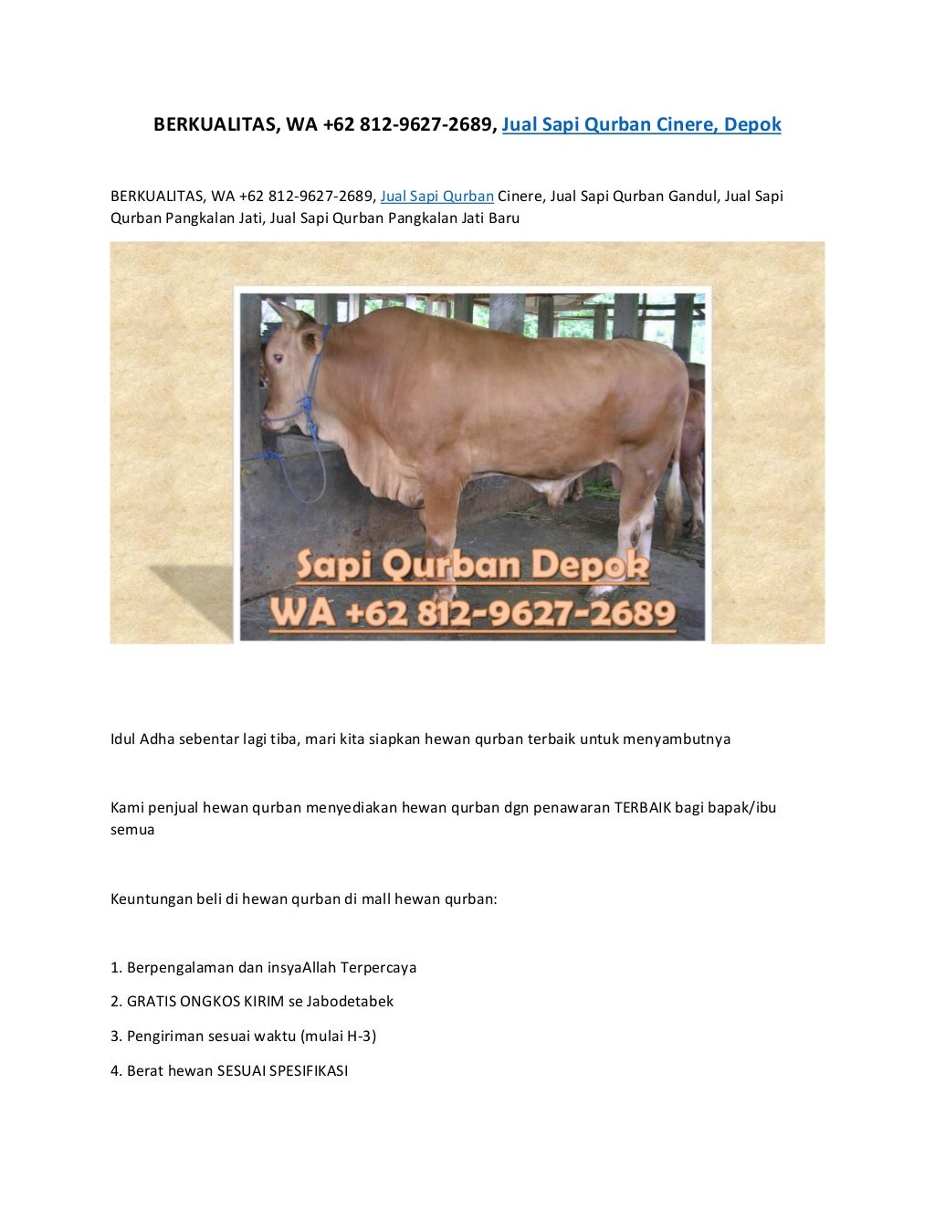 Berkualitas, wa +62 812 9627-2689, jual sapi qurban cinere, depok