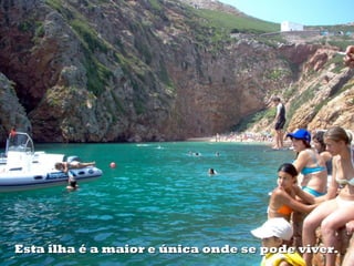 Esta ilha é a maior e única onde se pode viver.
 