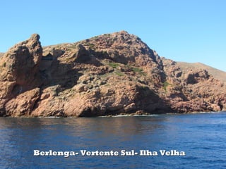 Berlenga- Vertente Sul- Ilha Velha
 