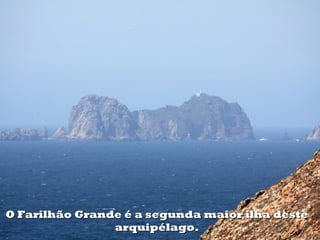 O Farilhão Grande é a segunda maior ilha deste
                arquipélago.
 