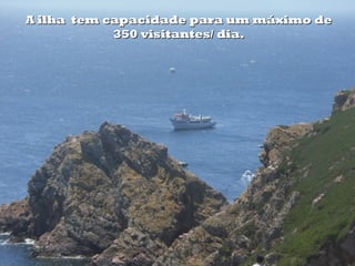 A ilha tem capacidade para um máximo de
            350 visitantes/ dia.
 