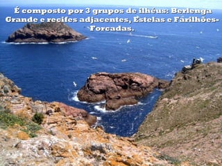 É composto por 3 grupos de ilhéus: Berlenga
Grande e recifes adjacentes, Estelas e Farilhões-
                   Forcadas.
 
