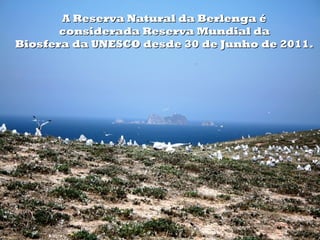 A Reserva Natural da Berlenga é
       considerada Reserva Mundial da
Biosfera da UNESCO desde 30 de Junho de 2011.
 