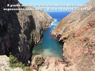 A parte maior da ilha chama-se Berlenga e
representa mais de 2/3 da sua superfície total.
 