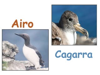 Características geográficas e biofísicas…………16IntroduçãoEste trabalho surgiu no âmbito da disciplina de Ciências Naturais, tem como finalidade mostrar aos nossos colegas alguns dos parques naturais.