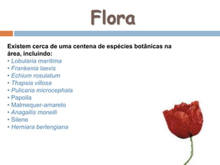 Farol Duque de Bragança