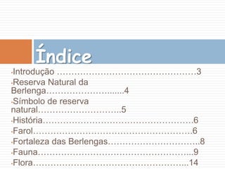 ÍndiceIntrodução …………………………………………3