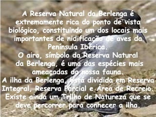 História…………………………………………….6