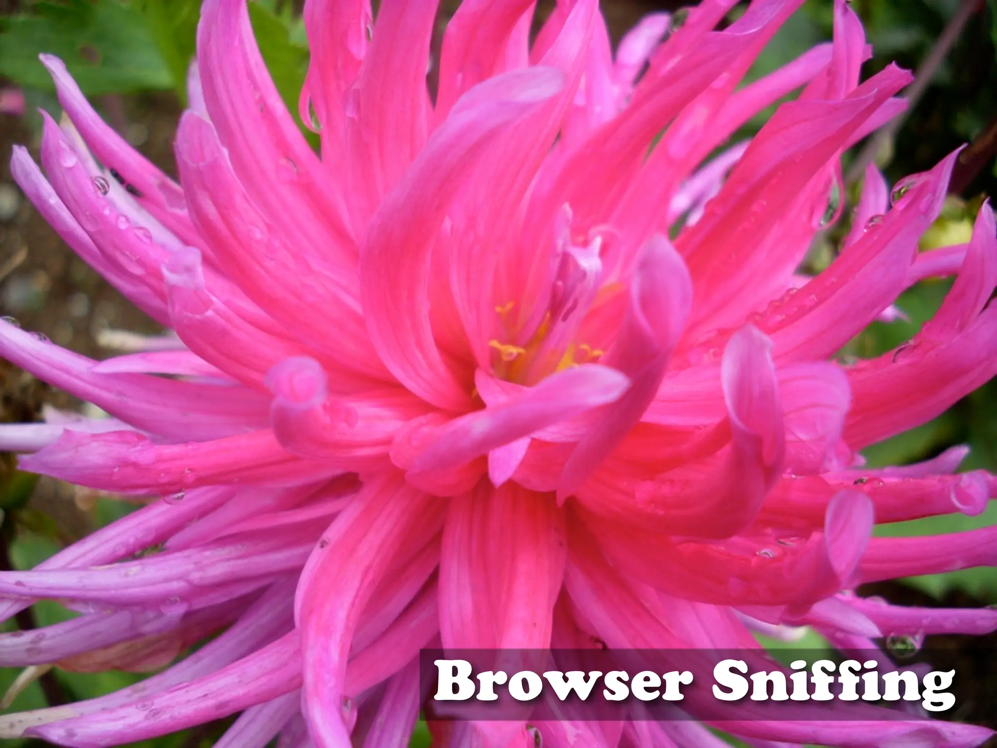 Creating a Specialized Mobile UI