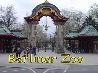 Berliner Zoo 