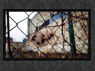 Berlin - January 2016