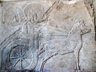 ©©Miki PitishMiki Pitish
 