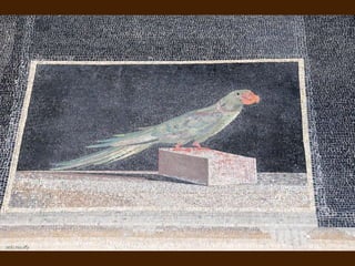 ©©Miki PitishMiki Pitish
 