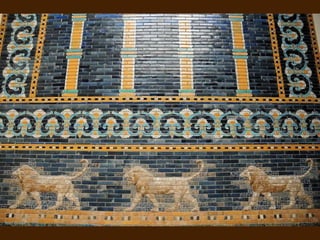 ©©Miki PitishMiki Pitish
 