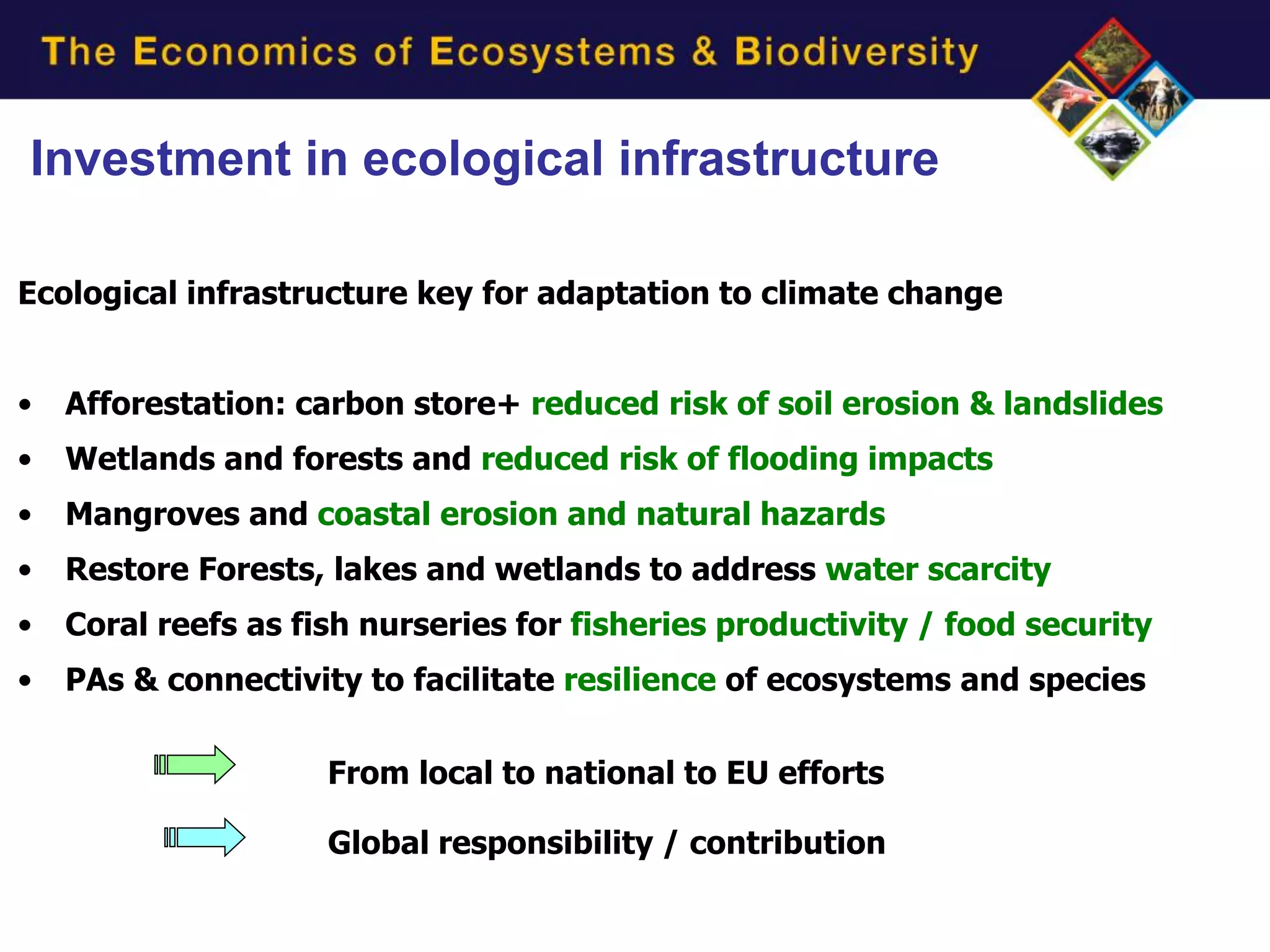 Investment in ecological infrastructure

Ecological infrastructure key for adaptation to climate change


•   Afforestation: carbon store+ reduced risk of soil erosion & landslides
•   Wetlands and forests and reduced risk of flooding impacts
•   Mangroves and coastal erosion and natural hazards
•   Restore Forests, lakes and wetlands to address water scarcity
•   Coral reefs as fish nurseries for fisheries productivity / food security
•   PAs & connectivity to facilitate resilience of ecosystems and species

                     From local to national to EU efforts

                     Global responsibility / contribution
 