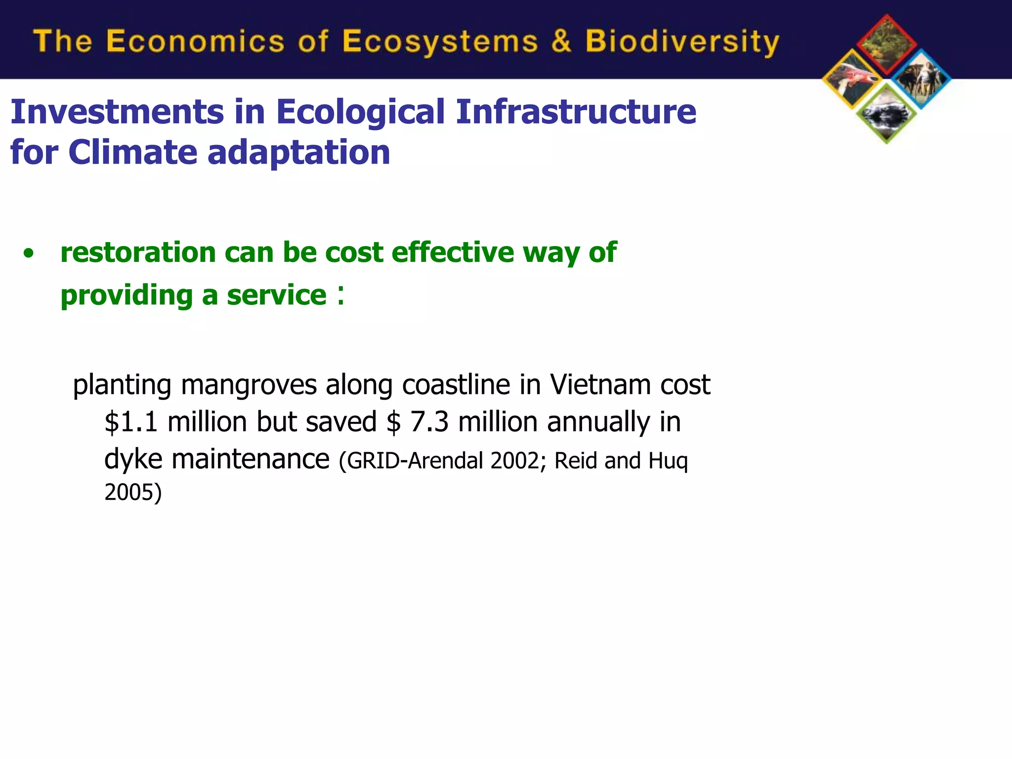 Investments in Ecological Infrastructure
for Climate adaptation

• restoration can be cost effective way of
  providing a service :


   planting mangroves along coastline in Vietnam cost
      $1.1 million but saved $ 7.3 million annually in
      dyke maintenance (GRID-Arendal 2002; Reid and Huq
     2005)
 