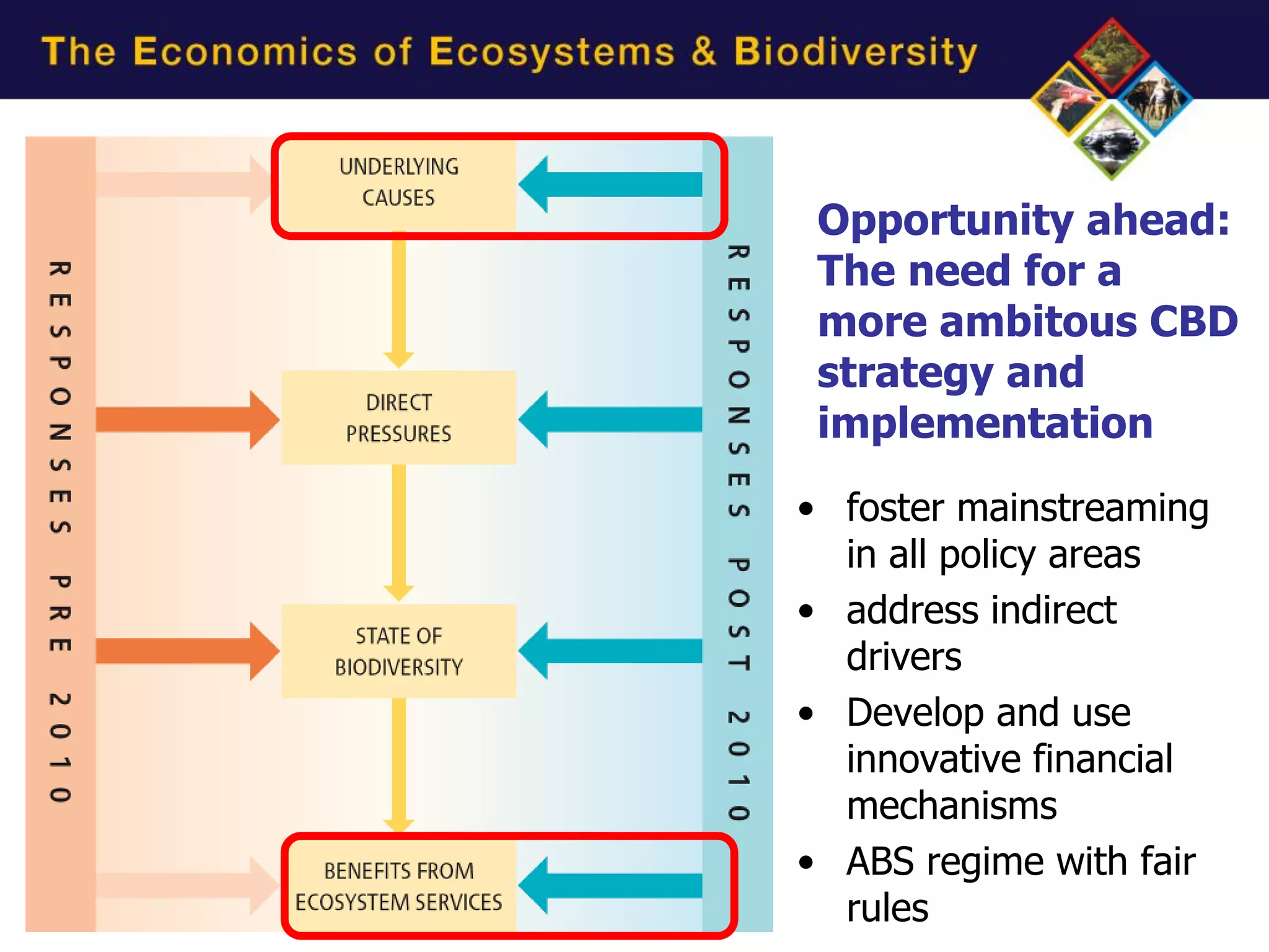Opportunity ahead:
 The need for a
 more ambitous CBD
 strategy and
 implementation
• foster mainstreaming
  in all policy areas
• address indirect
  drivers
• Develop and use
  innovative financial
  mechanisms
• ABS regime with fair
  rules
 