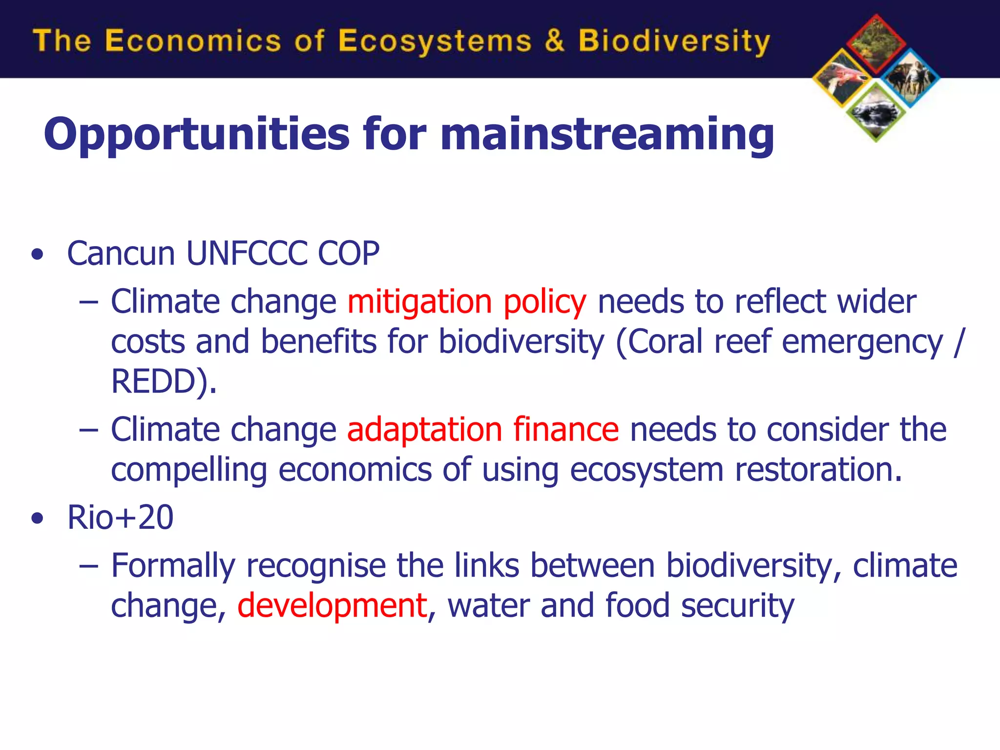 Opportunities for mainstreaming

• Cancun UNFCCC COP
   – Climate change mitigation policy needs to reflect wider
     costs and benefits for biodiversity (Coral reef emergency /
     REDD).
   – Climate change adaptation finance needs to consider the
     compelling economics of using ecosystem restoration.
• Rio+20
   – Formally recognise the links between biodiversity, climate
     change, development, water and food security
 