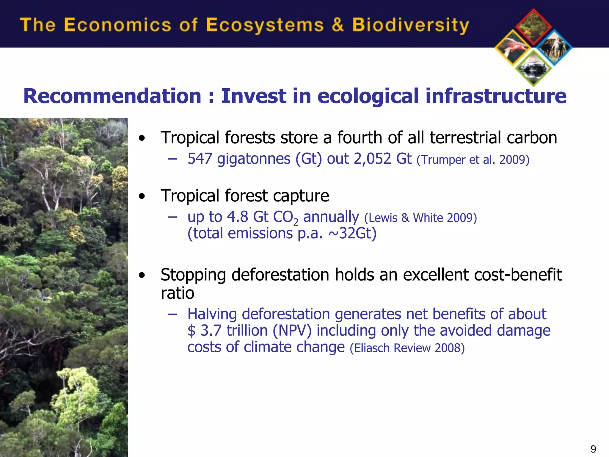Recommendation : Invest in ecological infrastructure
           • Tropical forests store a fourth of all terrestrial carbon
               – 547 gigatonnes (Gt) out 2,052 Gt    (Trumper et al. 2009)


           • Tropical forest capture
               – up to 4.8 Gt CO2 annually (Lewis & White 2009)
                 (total emissions p.a. ~32Gt)

           • Stopping deforestation holds an excellent cost-benefit
             ratio
               – Halving deforestation generates net benefits of about
                 $ 3.7 trillion (NPV) including only the avoided damage
                 costs of climate change (Eliasch Review 2008)




                                                                             9
 