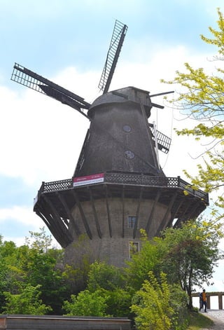 Berlin 2019 con FEDAES