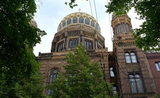 Berlin 2019 con FEDAES