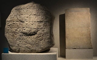 Berlin 2019 con FEDAES