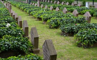 Berlin 2019 con FEDAES