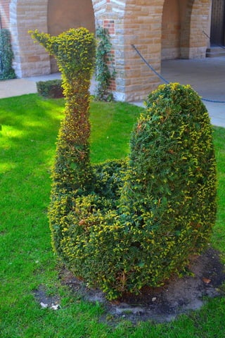 Berlin 2019 con FEDAES