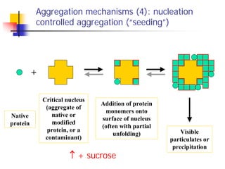 Focus on aggregation: types, causes, characterization, and impact | PDF