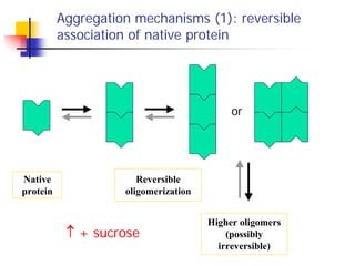Aggregation mechanisms (1): reversible
association of native protein
Native
protein
Reversible
oligomerization
Higher olig...