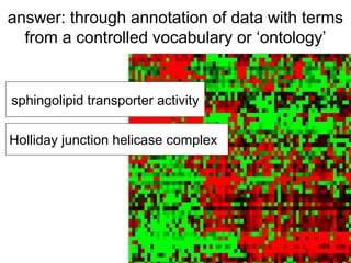 answer: through annotation of data with terms
  from a controlled vocabulary or ‘ontology’


sphingolipid transporter activity

Holliday junction helicase complex




                                          11
 