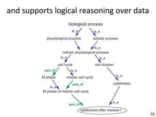 and supports logical reasoning over data




                                           15
 