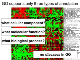 GO supports only three types of annotation



what cellular component?

what molecular function?

what biological process?


                     no diseases in GO   27
 