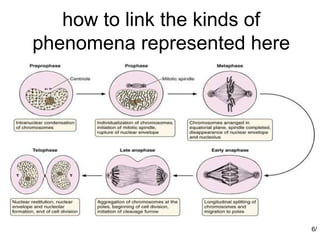 how to link the kinds of
phenomena represented here




                              6/
 