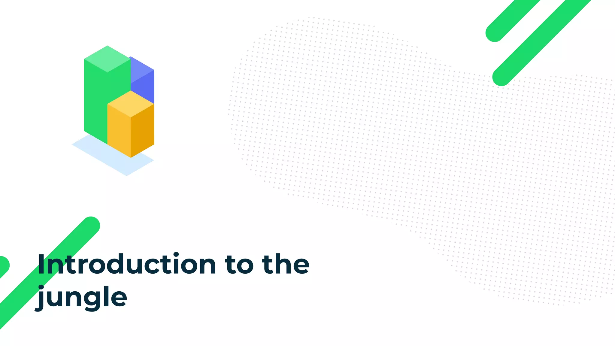 Introduction to the jungle 