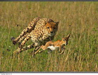 Tuesday, April 24, 12
 