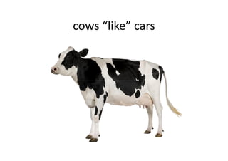 cows “like” cars
 