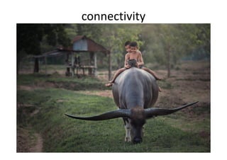 connectivity
 