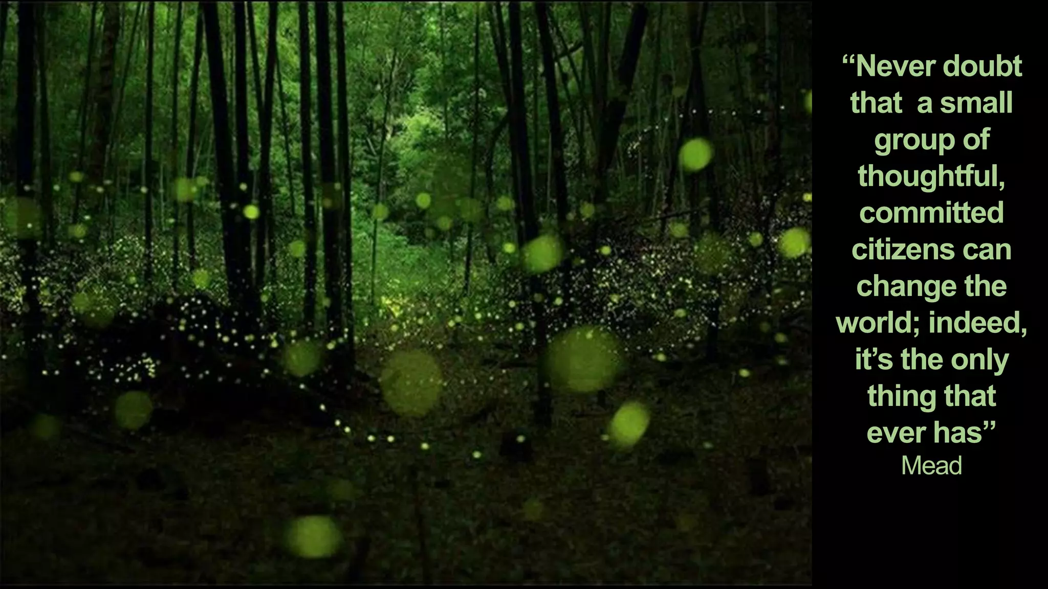 “Never doubt
that a small
group of
thoughtful,
committed
citizens can
change the
world; indeed,
it’s the only
thing that
ever has”
Mead
 