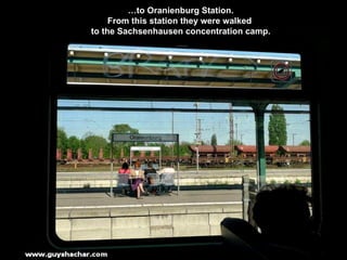 … to Oranienburg Station. From this station they were walked  to the  Sachsenhausen  concentration camp. 
