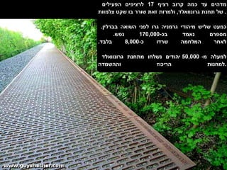 מדהים עד כמה קרוב רציף  17  לרציפים הפעילים  של תחנת גרונוואלד ,  ולמרות זאת שורר בו שקט צלמוות .  כמעט שליש מיהודי גרמניה גרו לפני השואה בברלין .  מספרם נאמד בכ -170,000  נפש .  לאחר המלחמה שרדו כ -8,000  בלבד . למעלה מ - 50,000   יהודים נשלחו מתחנת גרונוואלד  למחנות הריכוז וההשמדה . 